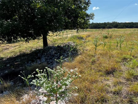 Stonewall, TX 78671 Gillespie County
