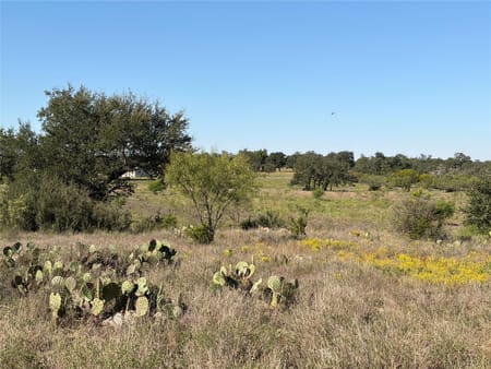 Round Mountain, TX 78663 Blanco County