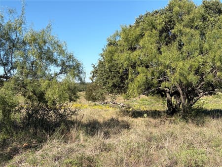 Round Mountain, TX 78663 Blanco County