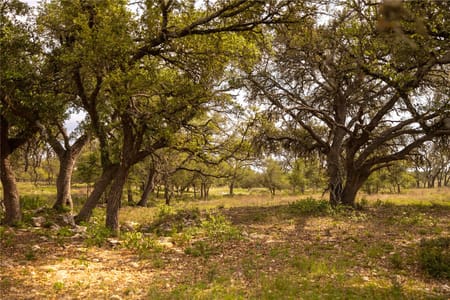 Dripping Springs, TX 78620 Hays County