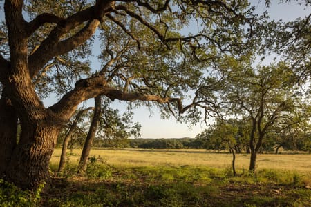 Dripping Springs, TX 78620 Hays County