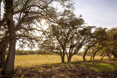 Dripping Springs, TX 78620 Hays County