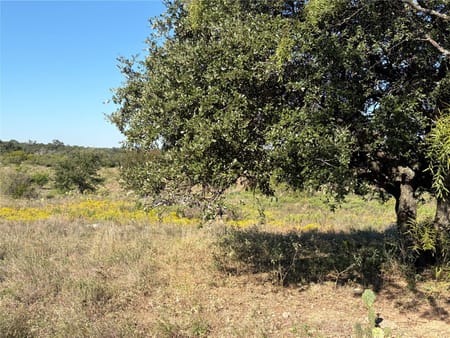 Round Mountain, TX 78663 Blanco County