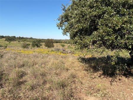 Round Mountain, TX 78663 Blanco County