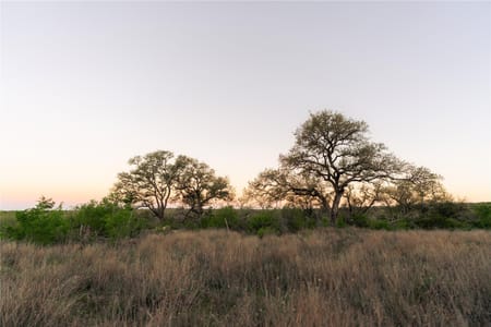 San Marcos, TX 78666 Hays County