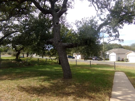 Kingsland, TX 78639 Llano County