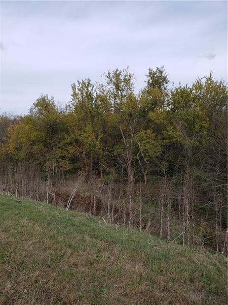 Cleveland, MO 64734 Cass County