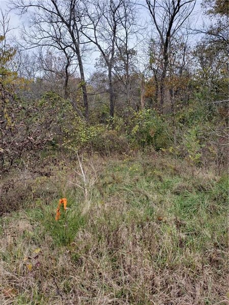 Cleveland, MO 64734 Cass County
