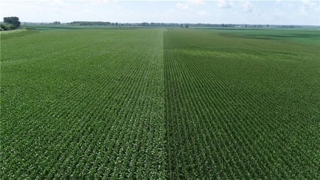 Malta Bend, MO 65339 Saline County