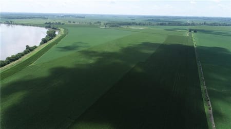 Malta Bend, MO 65339 Saline County