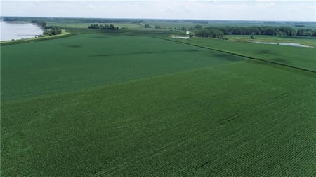 Malta Bend, MO 65339 Saline County