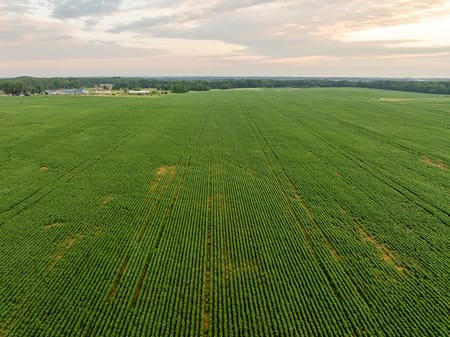 Montrose, MO 64770 Henry County
