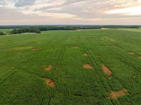 Montrose, MO 64770 Henry County