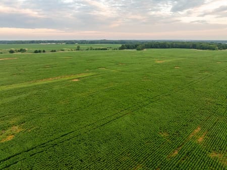Montrose, MO 64770 Henry County
