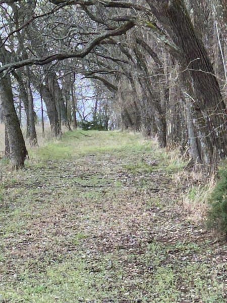 Drexel, MO 64742 Cass County