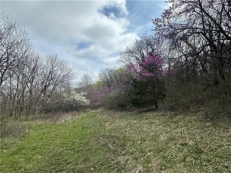 Drexel, MO 64742 Cass County