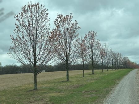 Drexel, MO 64742 Cass County