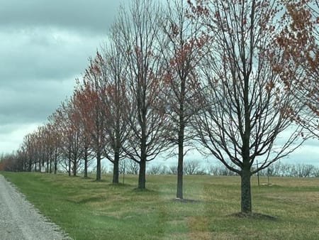 Drexel, MO 64742 Cass County