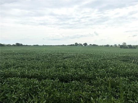 Gallatin, MO 64640 Daviess County