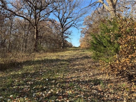Pattonsburg, MO 64670 Daviess County