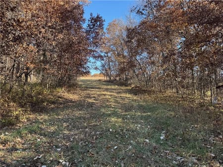 Pattonsburg, MO 64670 Daviess County