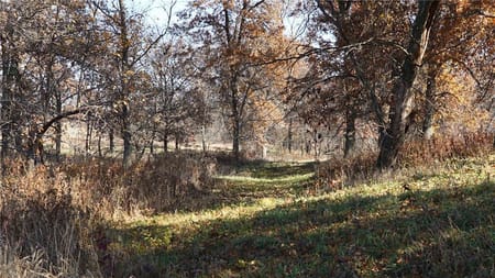 Brookfield, MO 64628 Linn County
