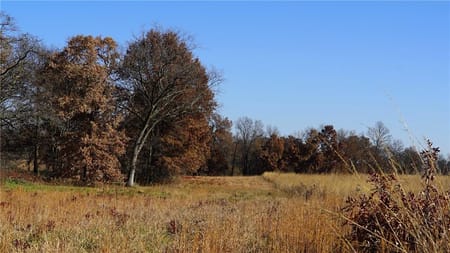 Brookfield, MO 64628 Linn County