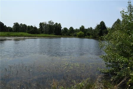 Freeman, MO 64746 Cass County