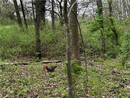 Blairstown, MO 64726 Henry County