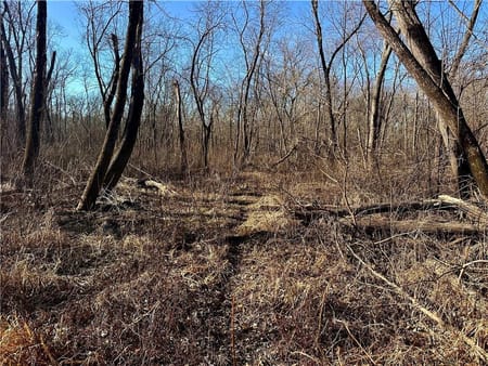 Rockville, MO 64780 Bates County