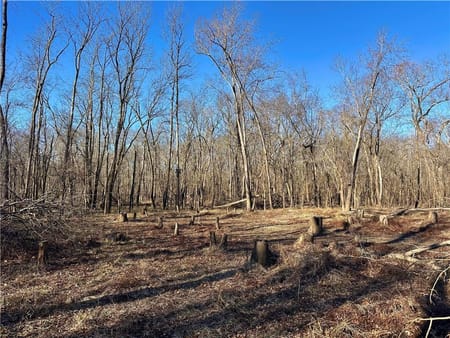 Rockville, MO 64780 Bates County