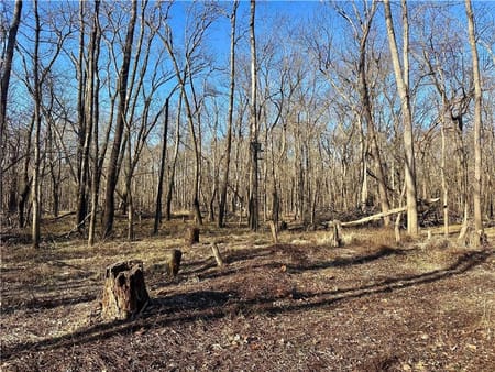 Rockville, MO 64780 Bates County