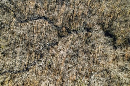 Belton, MO 64012 Cass County