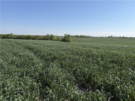 Darlington, MO 64438 Gentry County