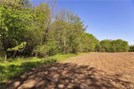 Pattonsburg, MO 64670 Daviess County