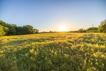 Pleasant Hill, MO 64080 Cass County