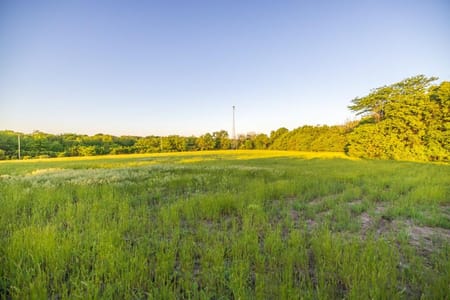 Pleasant Hill, MO 64080 Cass County