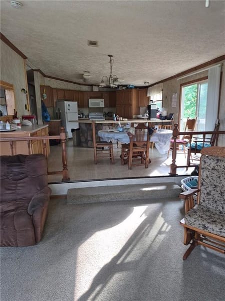 Cross Timbers, MO 65634 Hickory County