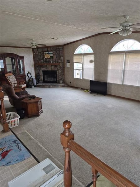 Cross Timbers, MO 65634 Hickory County