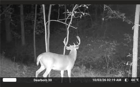 Dearborn, MO 64439 Buchanan County