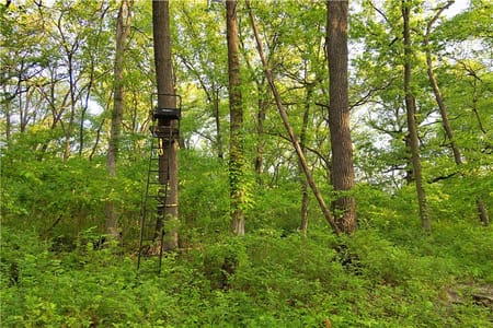 Dearborn, MO 64439 Buchanan County