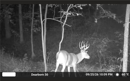 Dearborn, MO 64439 Buchanan County