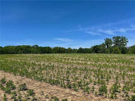 Lone Jack, MO 64070 Jackson County