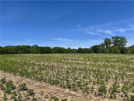 Lone Jack, MO 64070 Jackson County