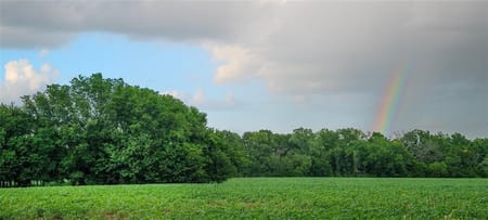 Hume, MO 64752 Bates County