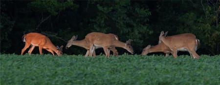 Hume, MO 64752 Bates County
