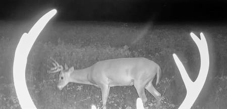 Hume, MO 64752 Bates County
