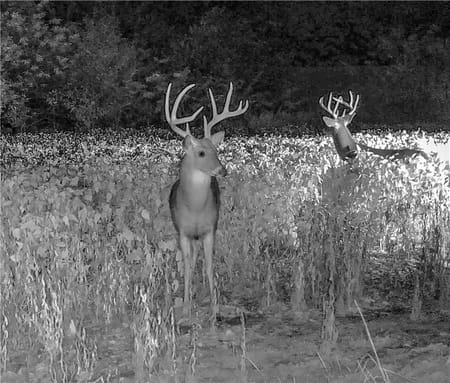 Hume, MO 64752 Bates County