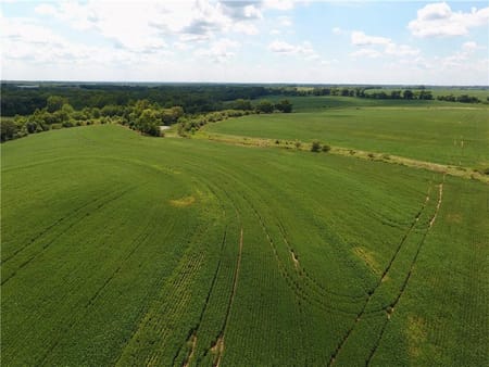 Jamesport, MO 64648 Daviess County