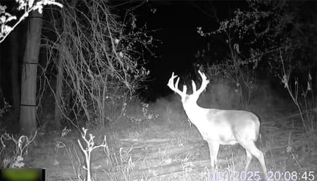 Pattonsburg, MO 64670 Daviess County